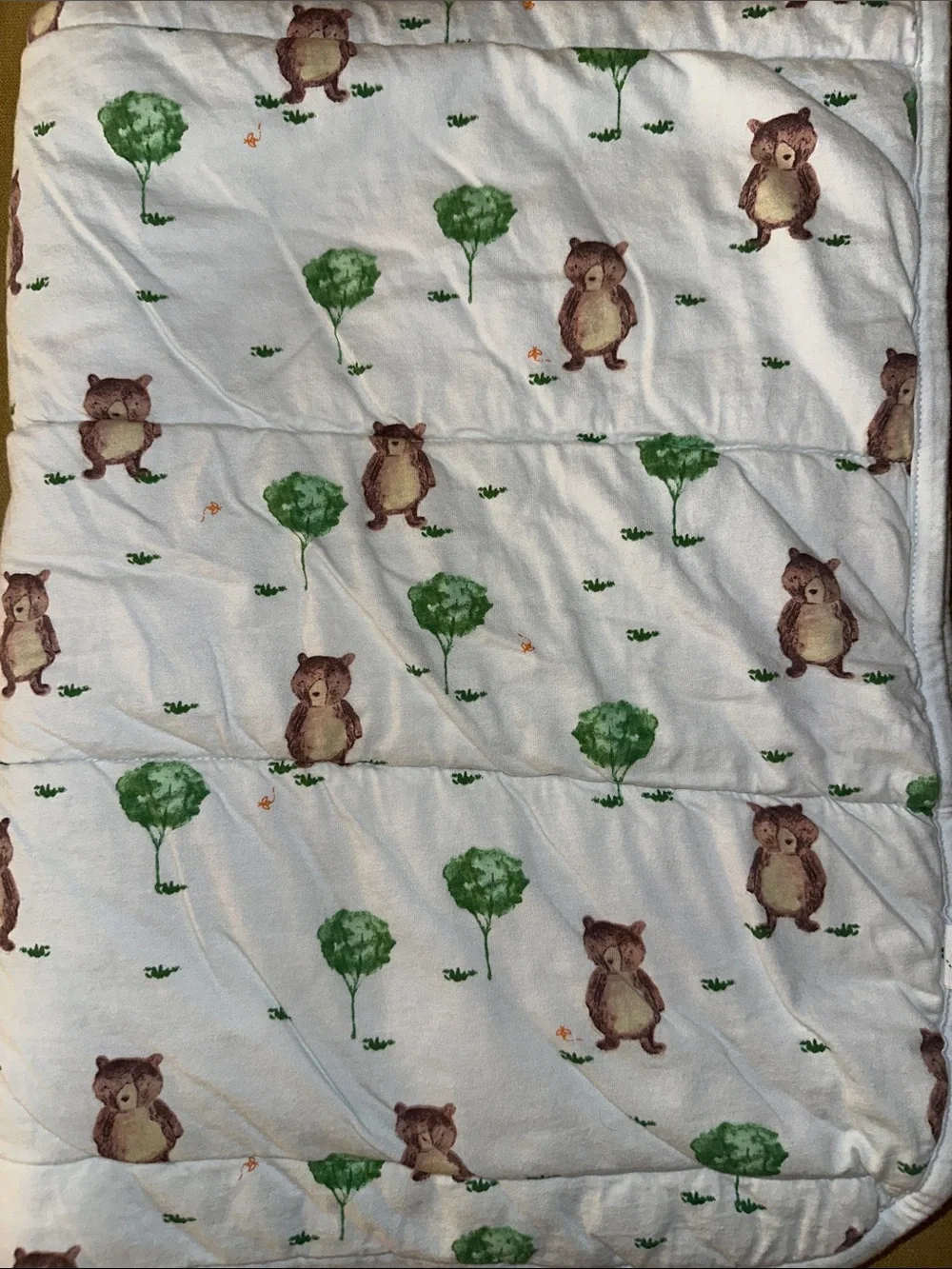 Burt’s Bees Reversible Baby Blanket with Green and Brown Bear Print